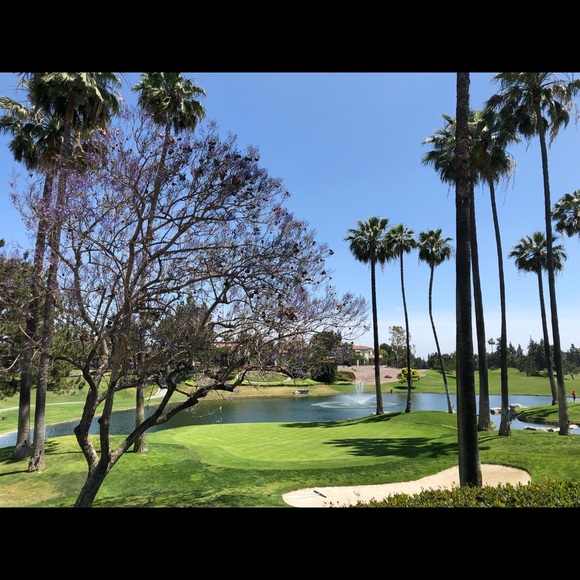 Welcome to my closet! - Picture 9 of 14